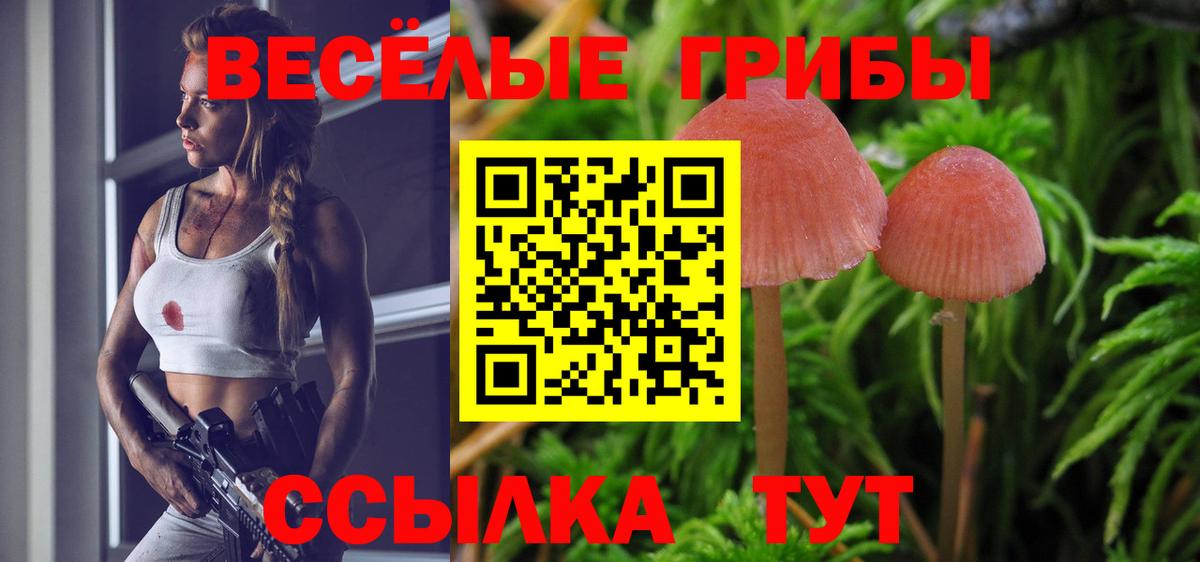 Городец  Галлюциногенные грибы Cubensis  Вход с VPN 